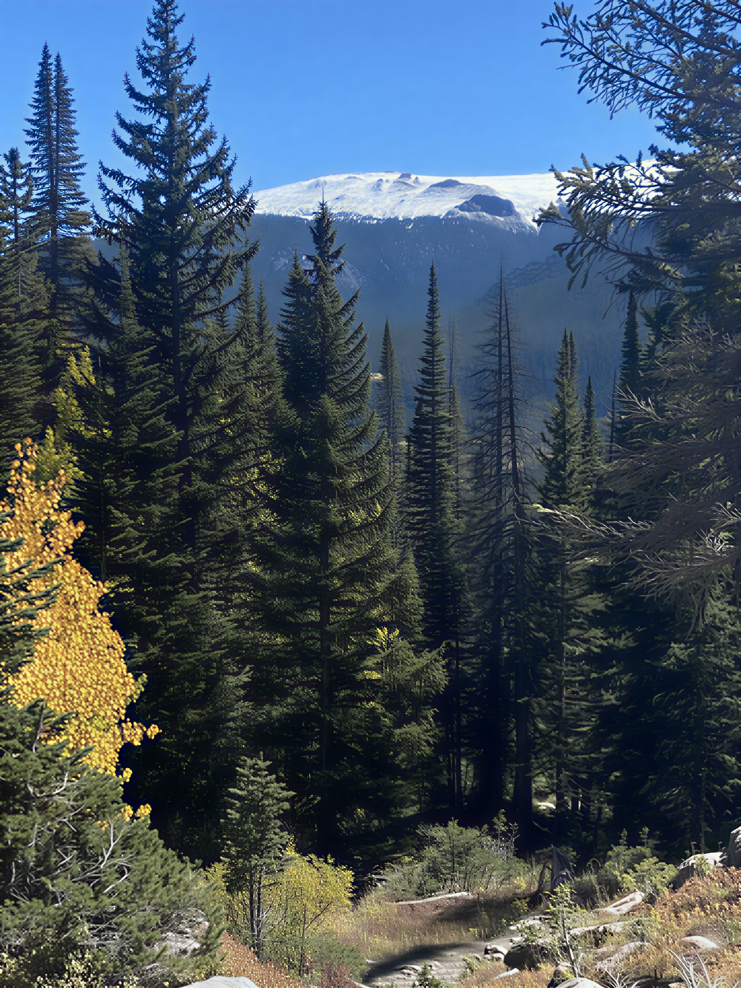 Retraite des Montagnes Rocheuses - 5 jours