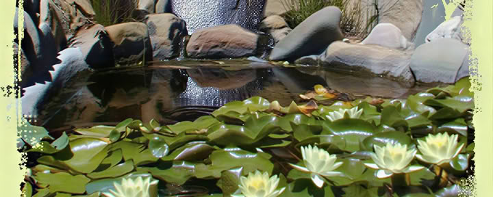 Yoga et l'art de la cuisine en pleine conscience