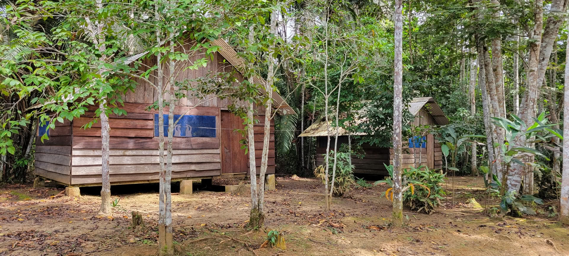 Retraite Ayahuasca Iquitos