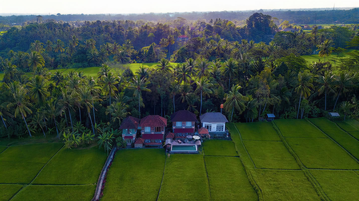 Votre semaine dans une retraite de yoga à Bali