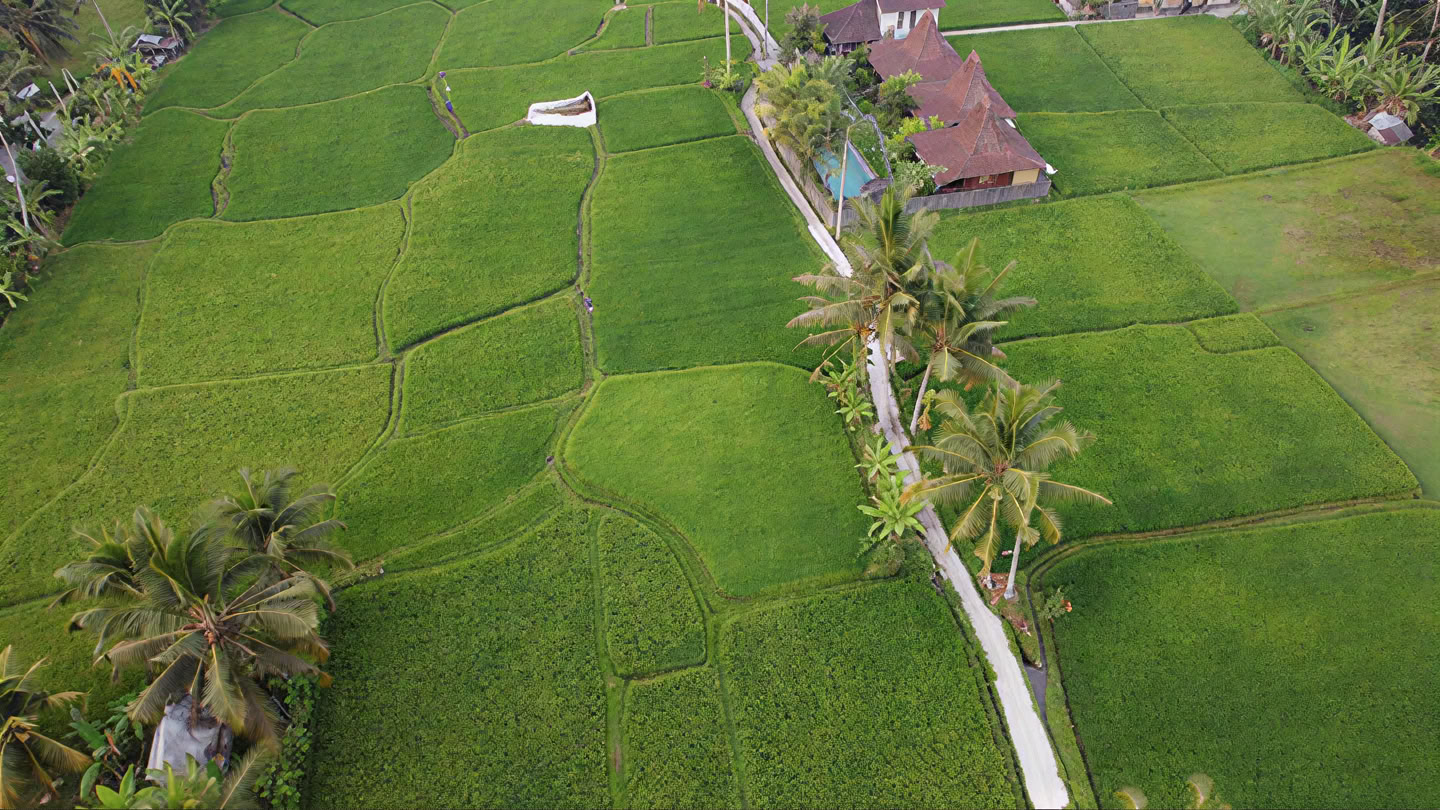 Votre semaine dans une retraite de yoga à Bali