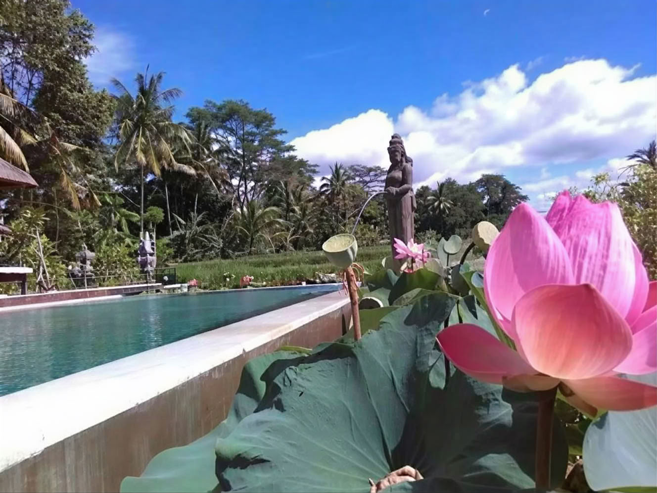 Votre semaine dans une retraite de yoga à Bali