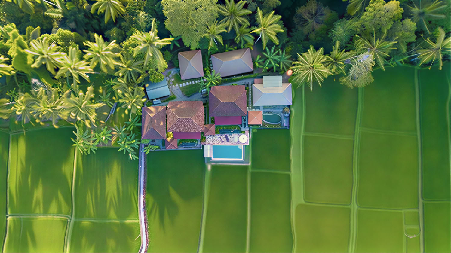 Retraite de yoga inoubliable de 7 jours à Firefly Retreat Bali