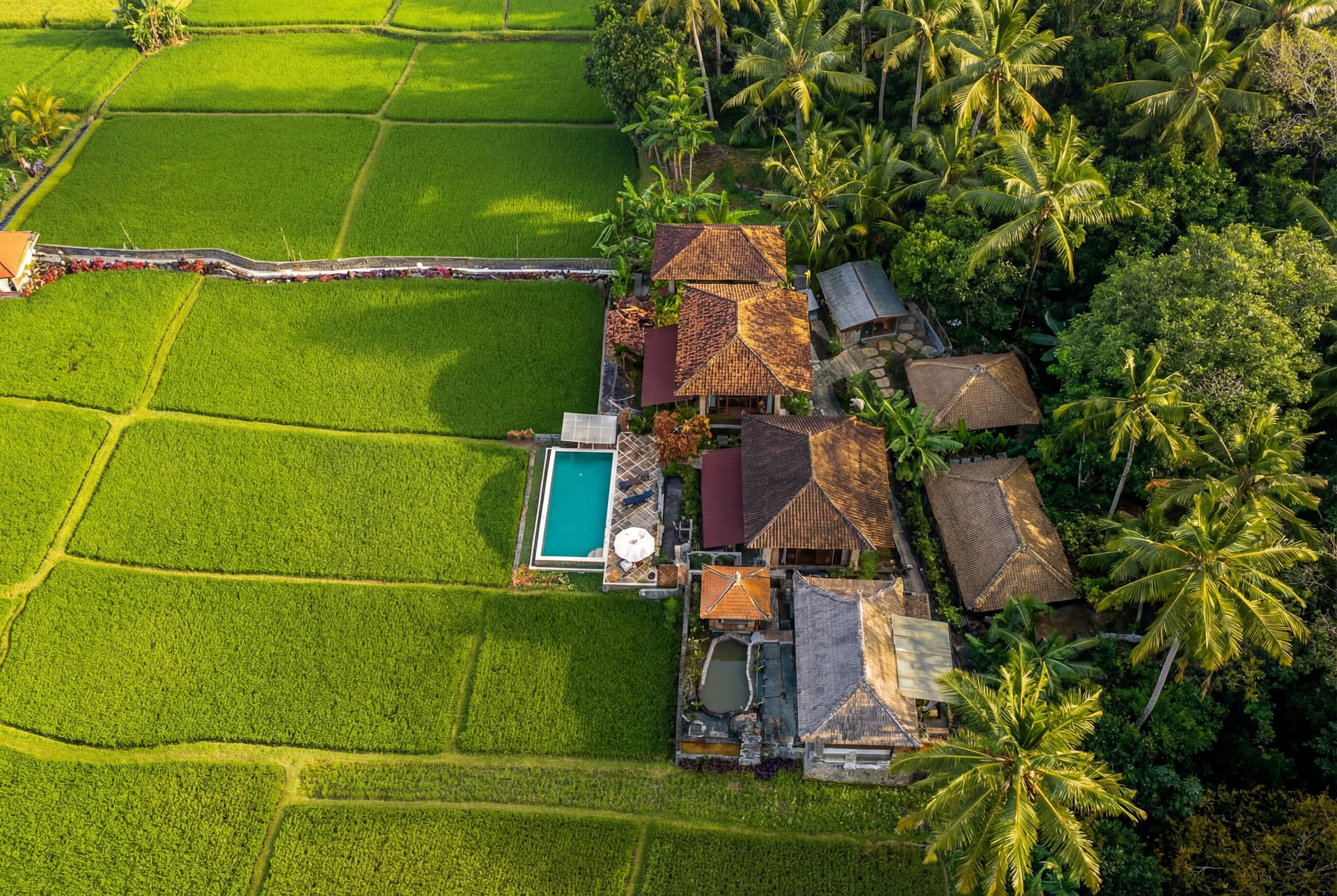 Retraite de yoga inoubliable de 7 jours à Firefly Retreat Bali