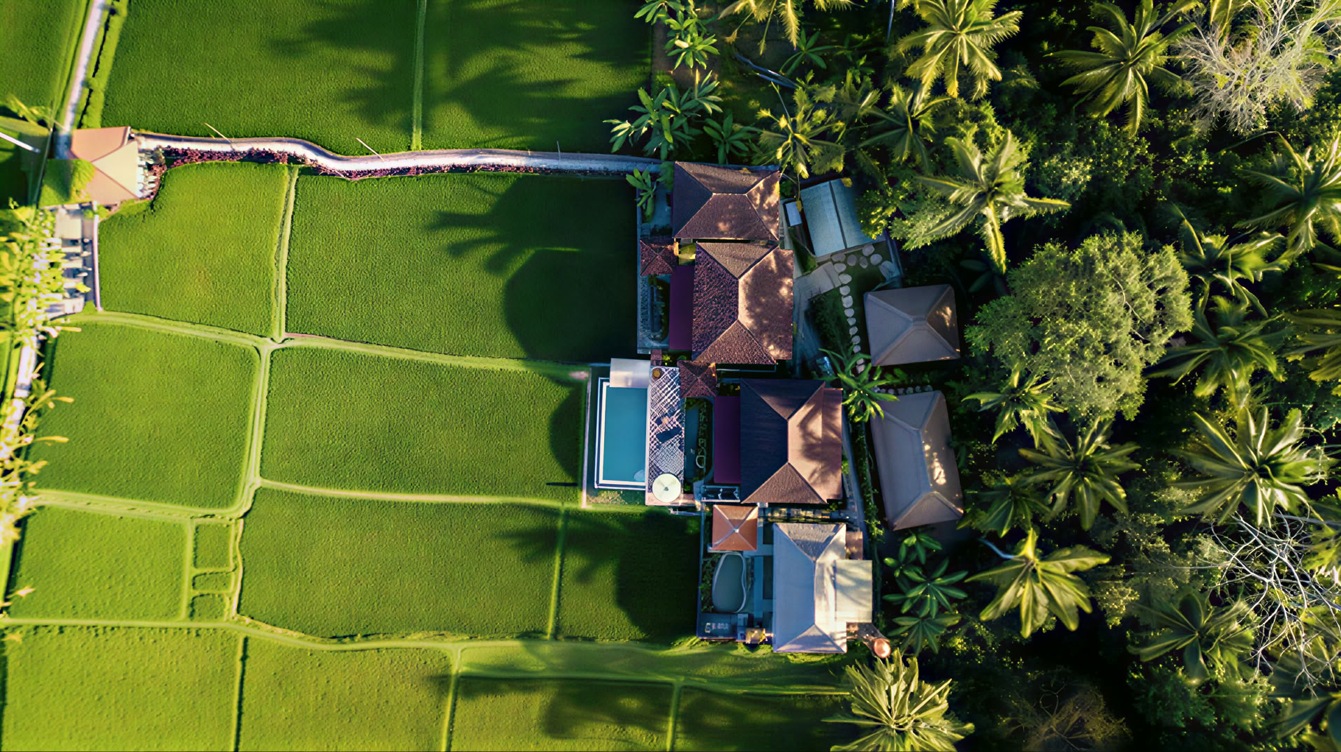 Retraite de yoga inoubliable de 7 jours à Firefly Retreat Bali