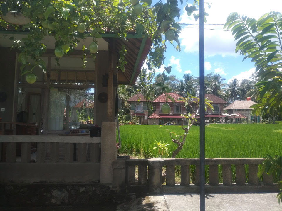 Retraite de yoga inoubliable de 7 jours à Firefly Retreat Bali