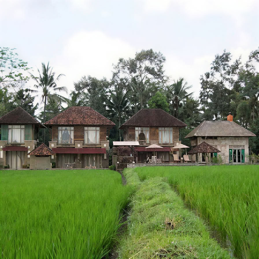 Retraite de yoga inoubliable de 7 jours à Firefly Retreat Bali