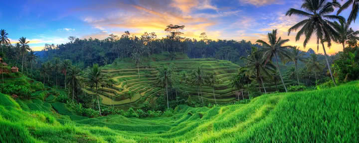 Retraite de yoga inoubliable de 7 jours à Firefly Retreat Bali
