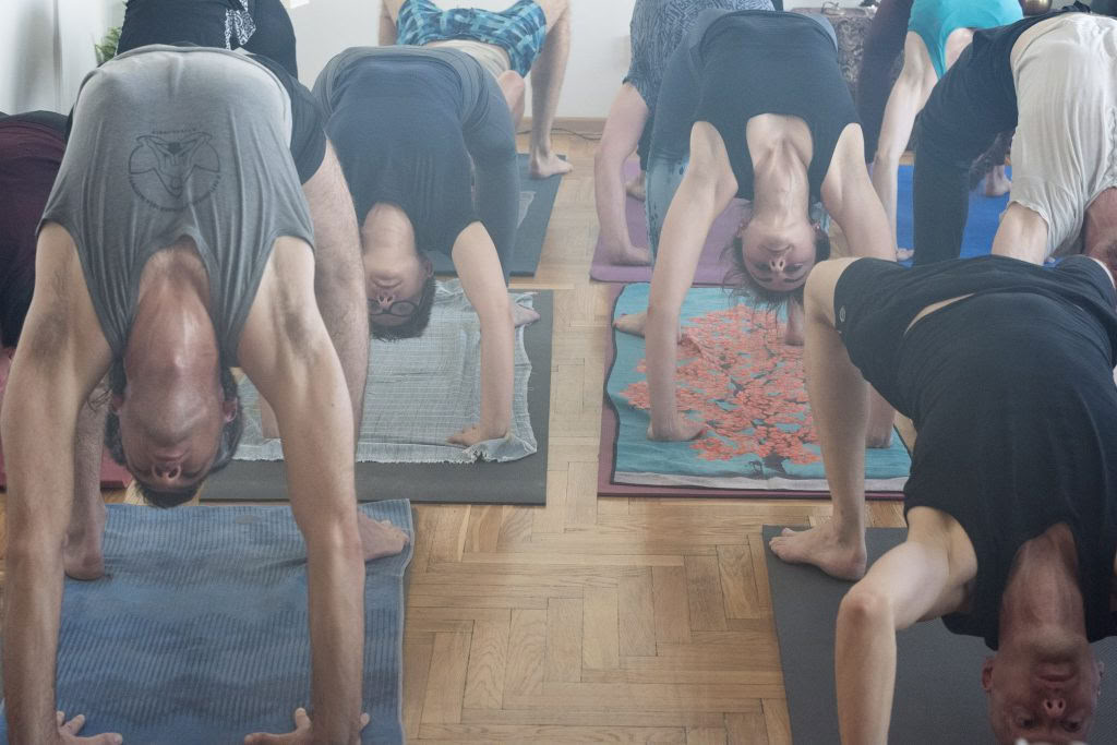 Atelier de week-end Ashtanga avec David Garrigues