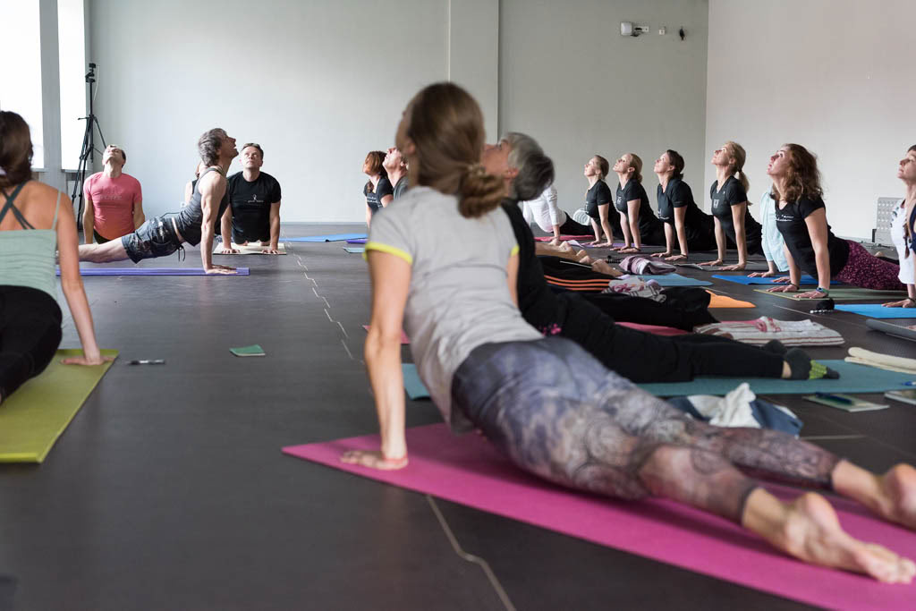 Atelier de week-end Ashtanga avec David Garrigues