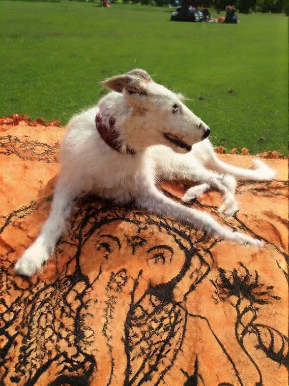 Retraite Connecting to Your Inner Goddess pour femmes