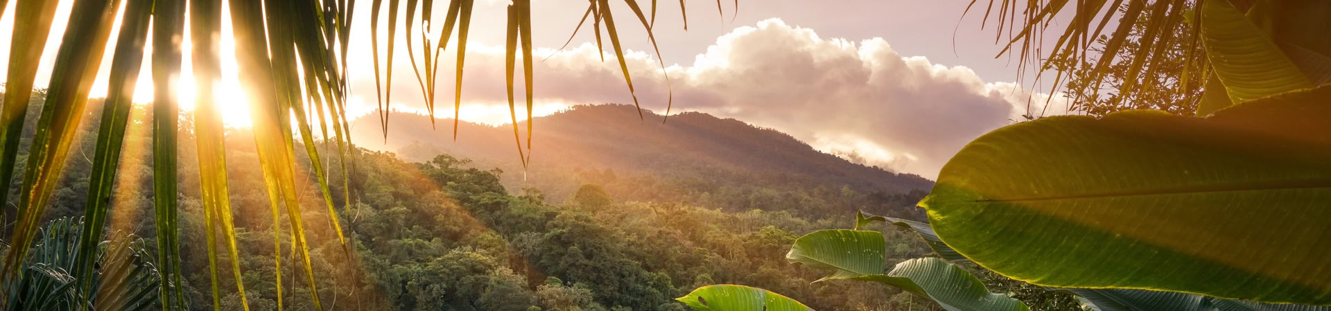 Corcovado 1 jour Tour