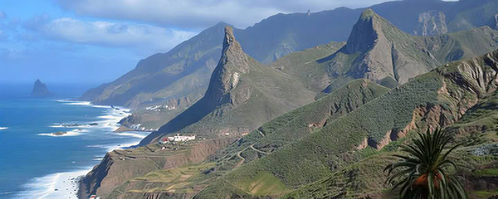 Méditation de bain de forêt