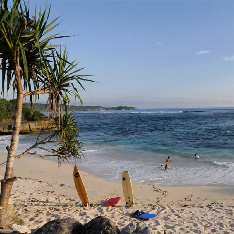 Formation de professeur de Yin Yoga 100h à Bali