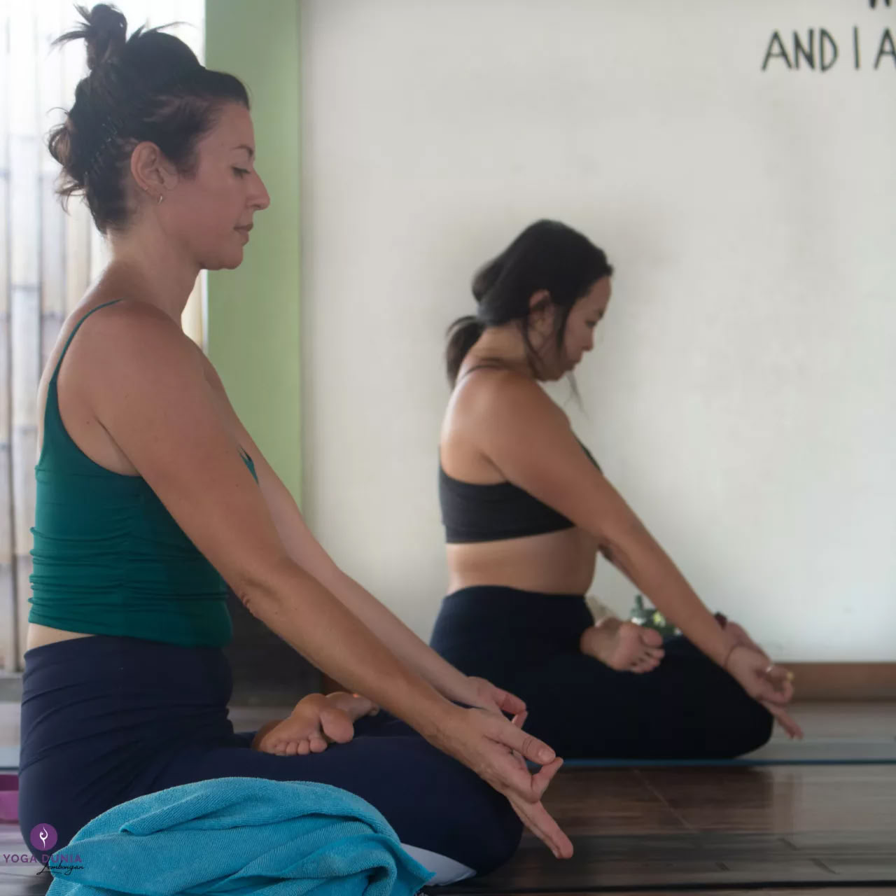 Week-end Workshop : Yoga aérien
