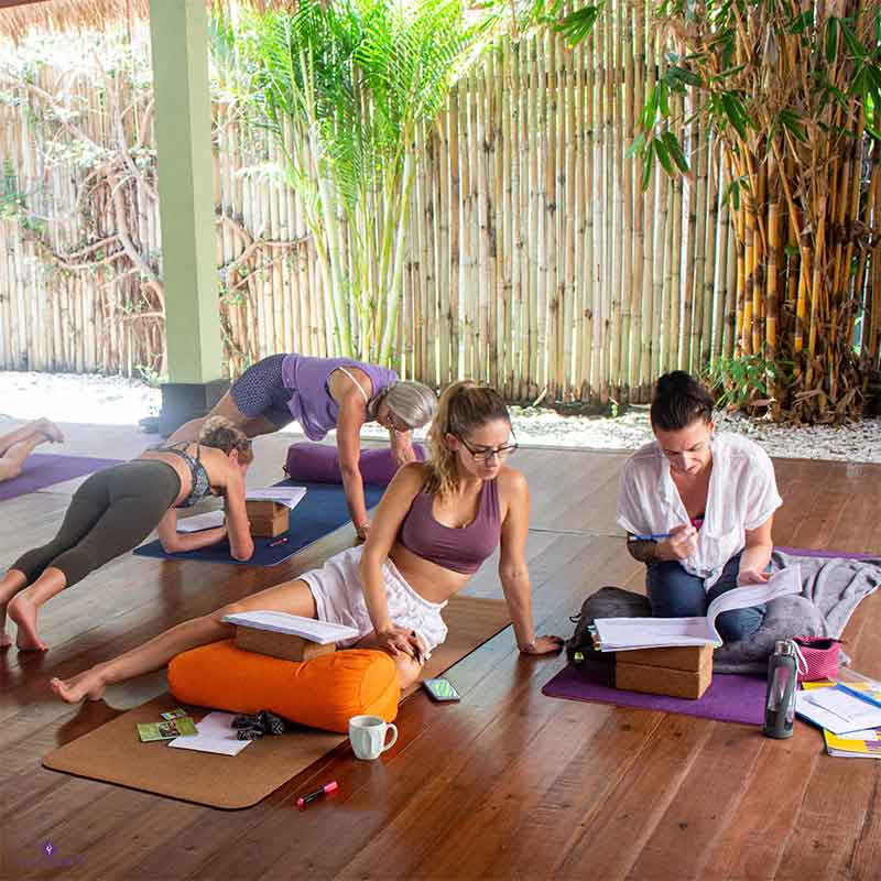 Formation de professeur de yoga Anatomy & Vinyasa de 110 h