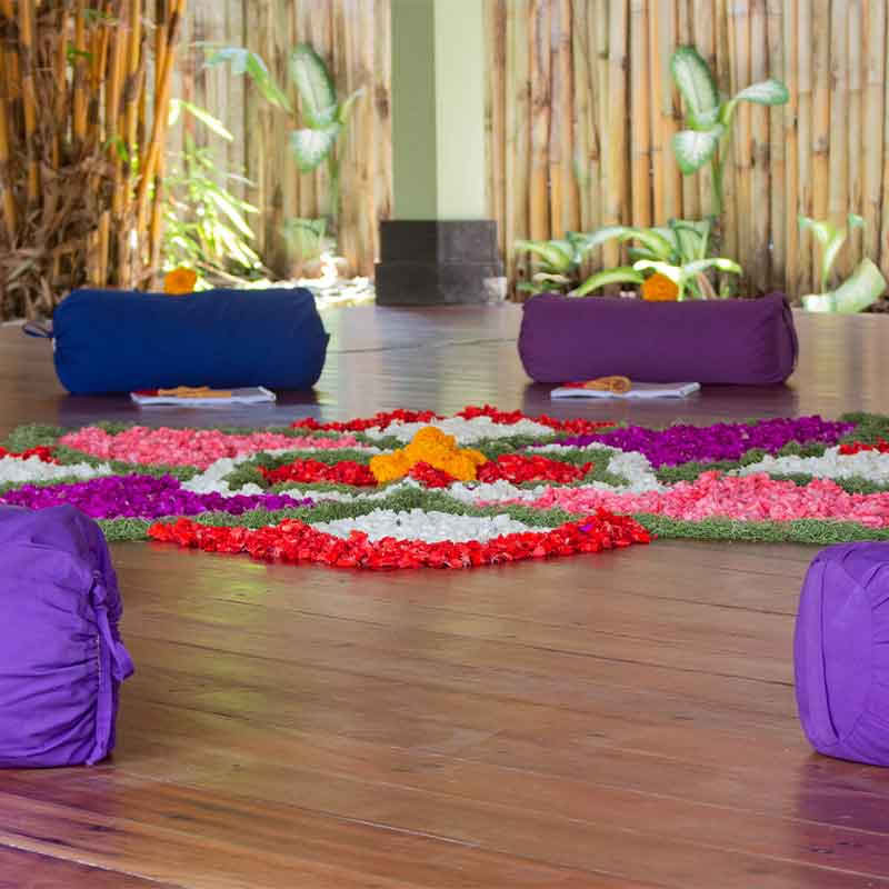 Formation de professeur de yoga Anatomy & Vinyasa de 110 h