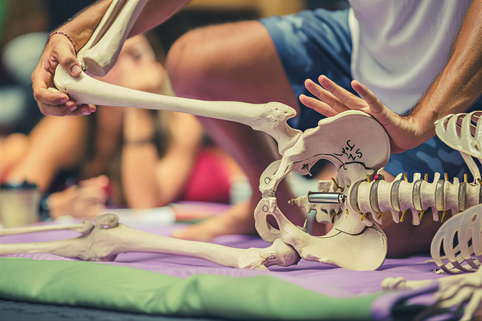 Fascia Universe 125h Formation Avancée en Yoga & Somatics