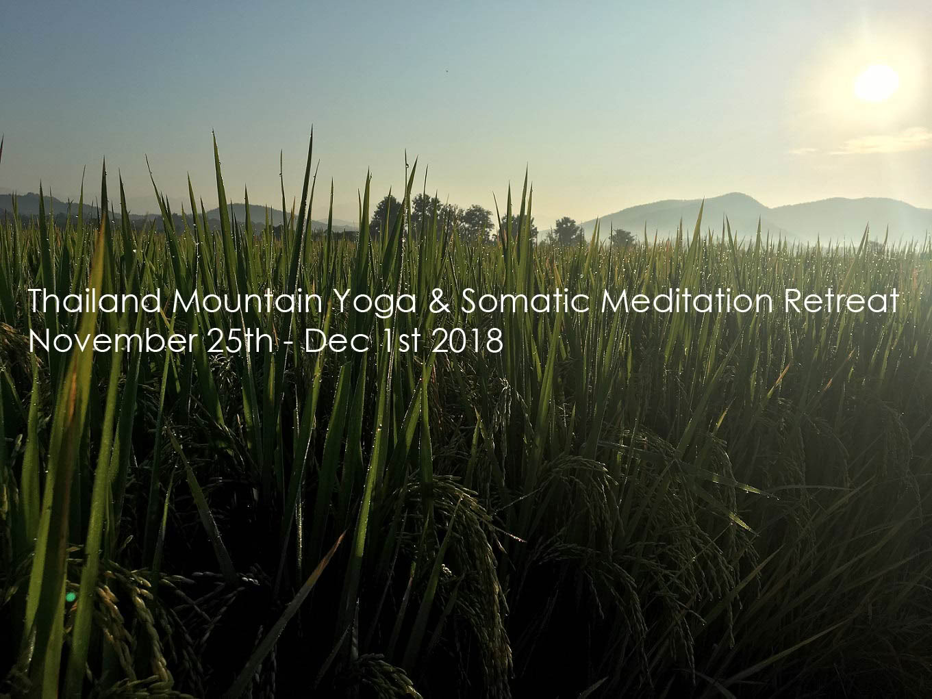 Retraite de yoga de méditation somatique à Chiang Mai, Thaïlande