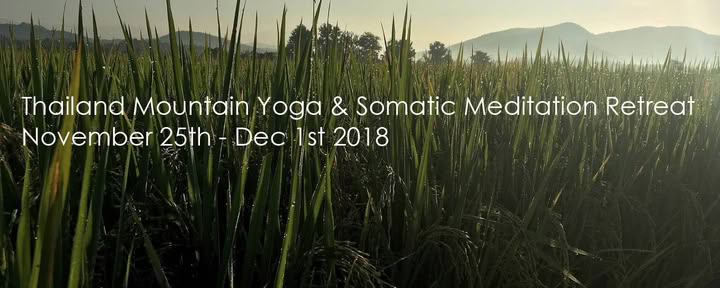 Retraite de yoga de méditation somatique à Chiang Mai, Thaïlande