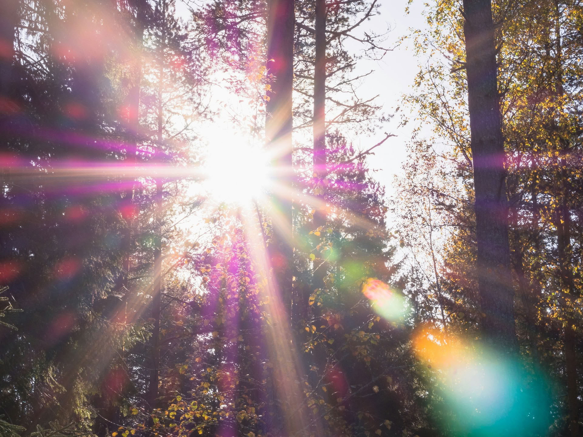 Sistertalk Retraites - LATE SUMMER GLOW: Retraite Élément Minéral/Nature — Wild Nature Retraits