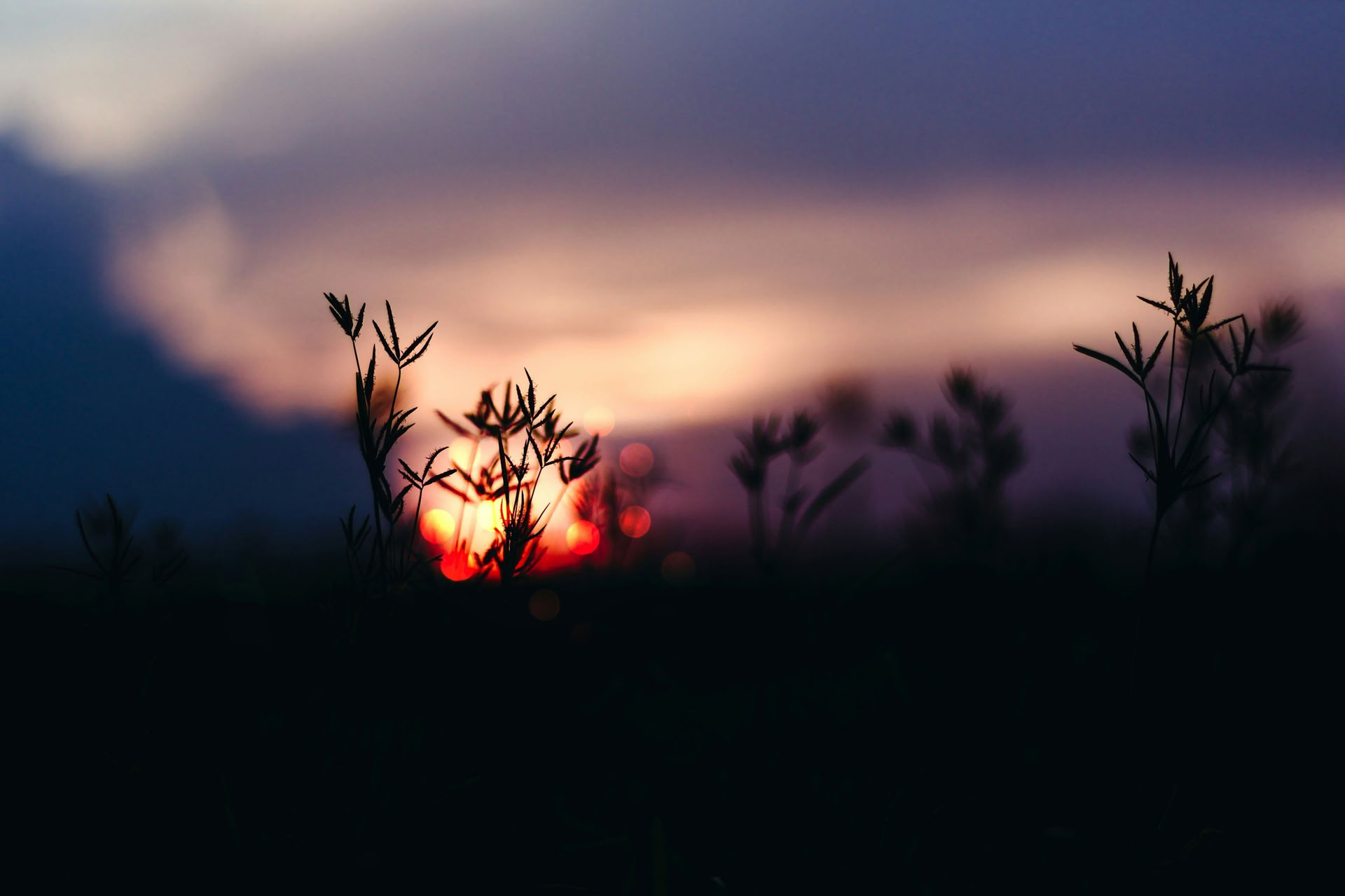 Creative Rest : retraite d’automne