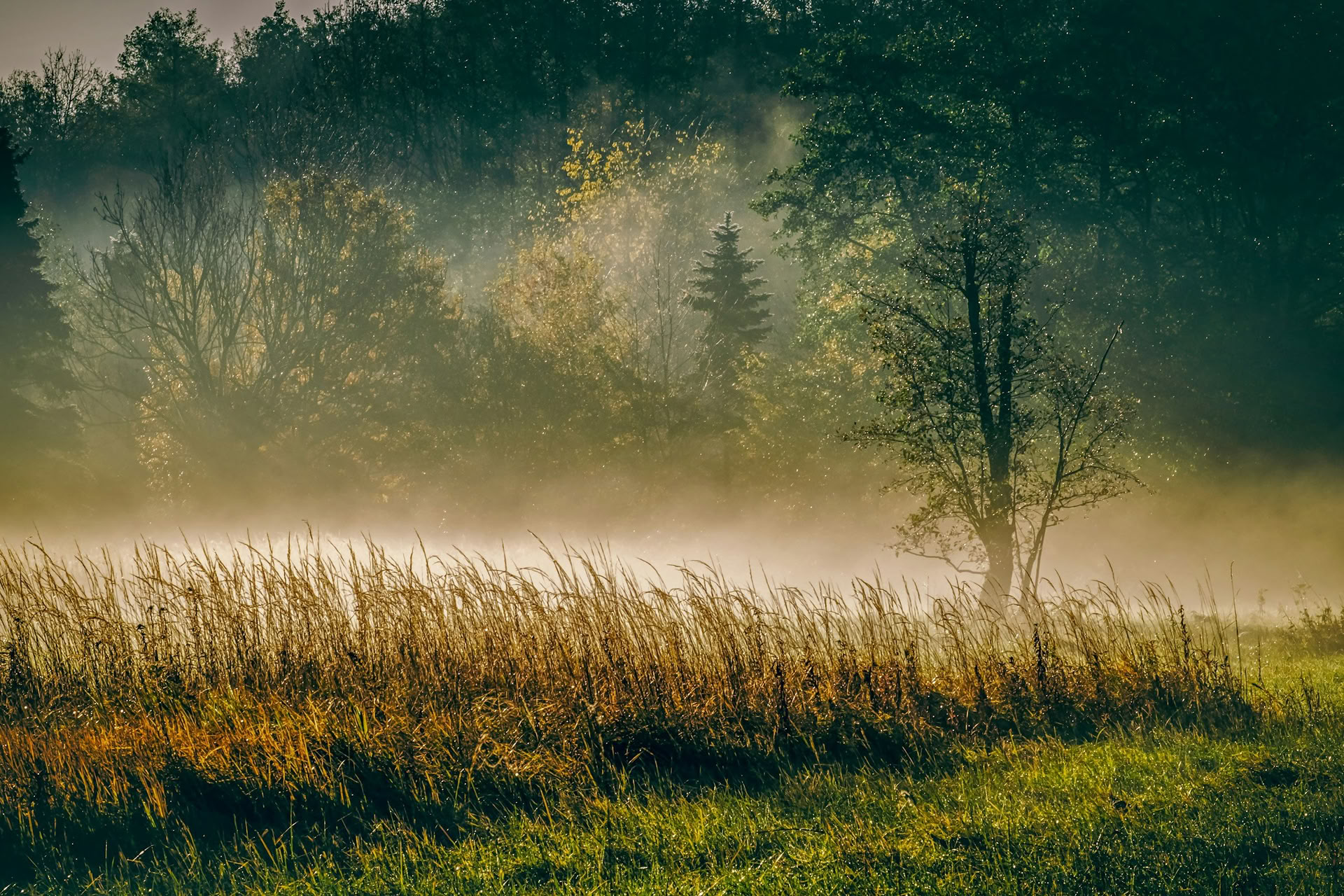 Creative Rest : retraite d’automne