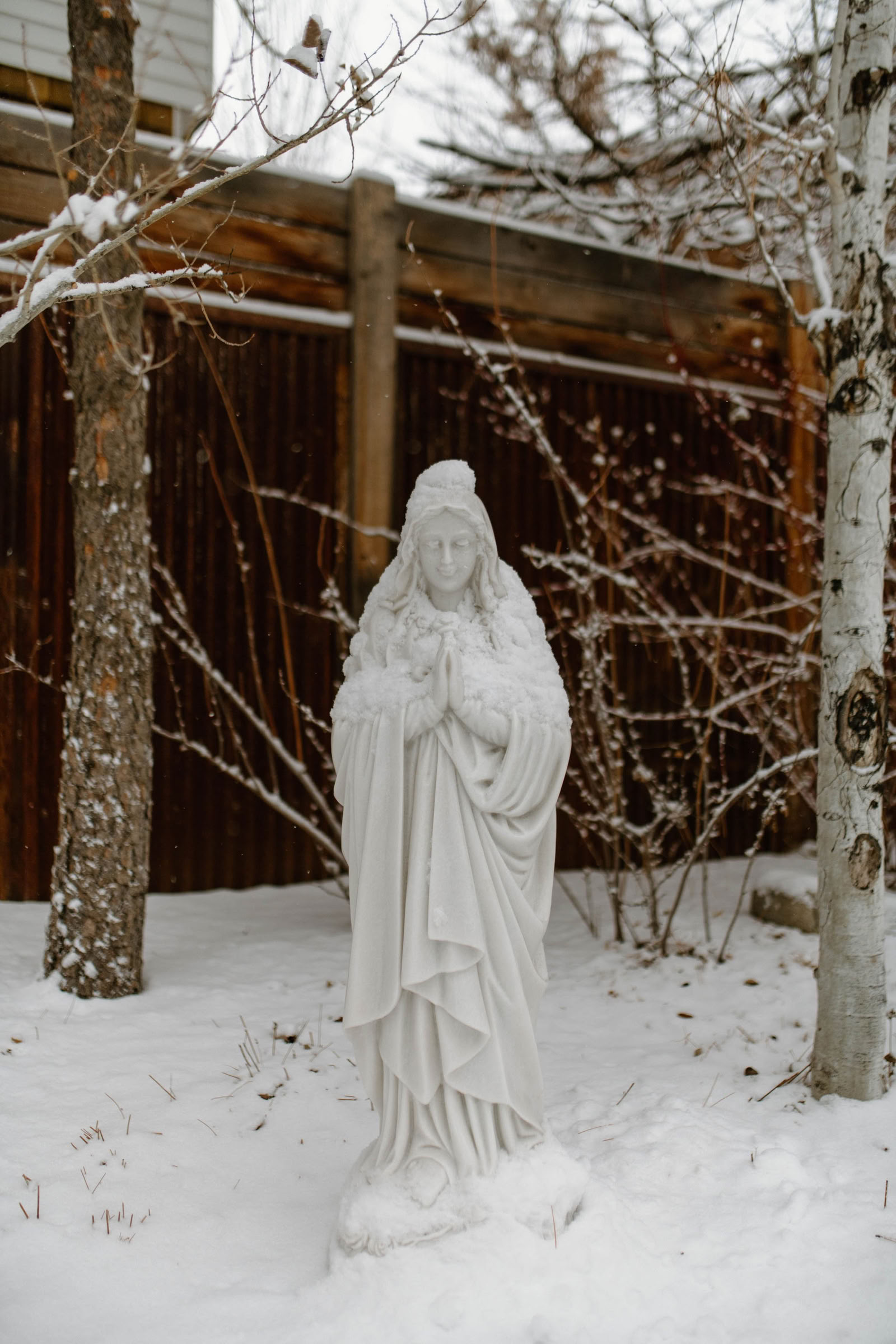 Red Thread : International Qigong Institute | True Nature - Carbondale, CO