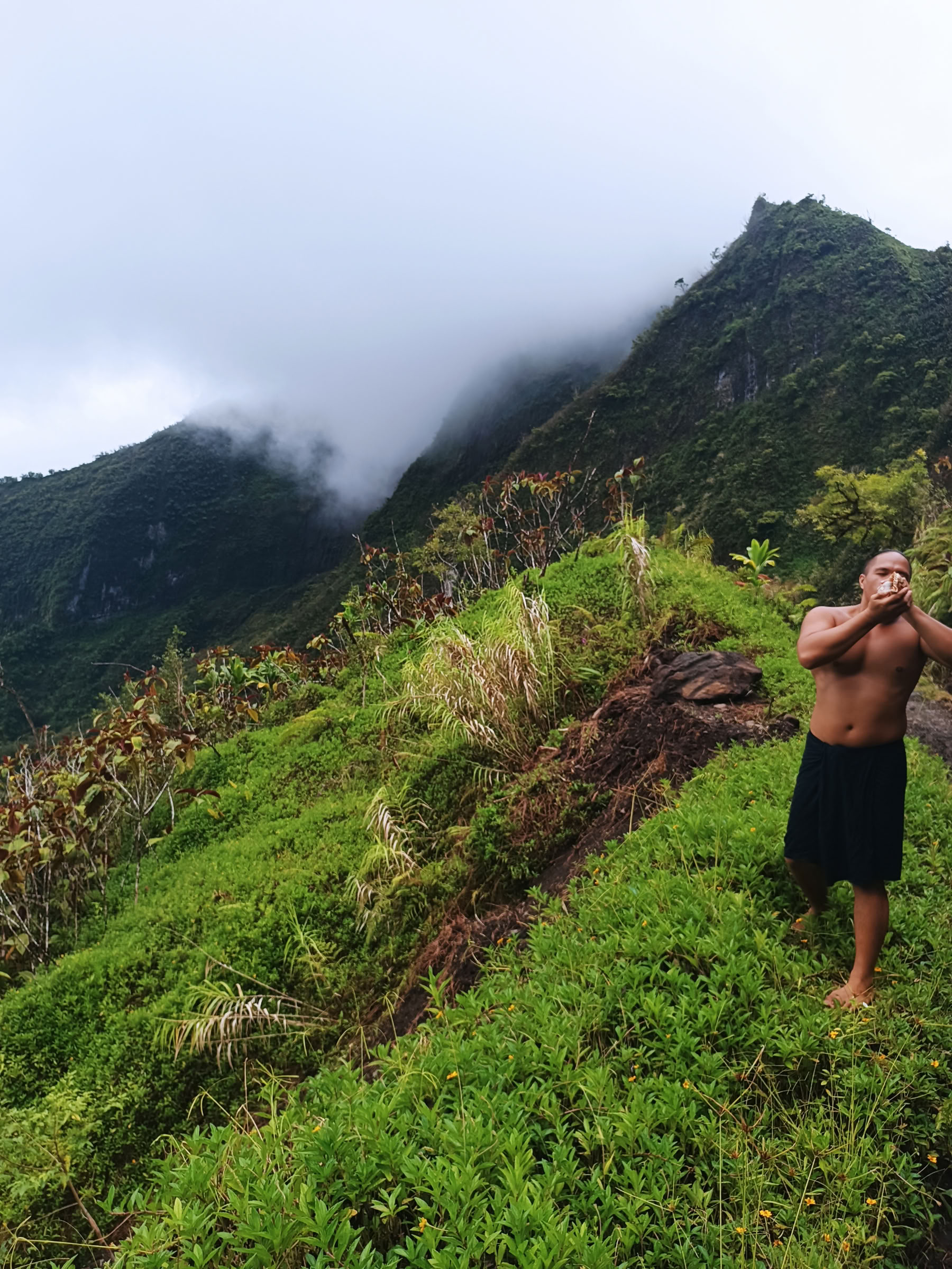 Safari Te Mana Nui