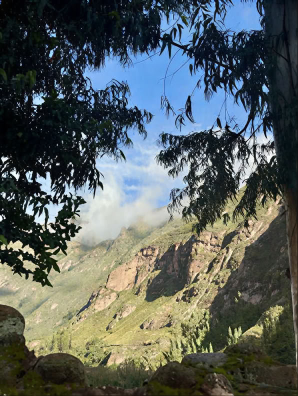 Cérémonie d’Ayahuasca