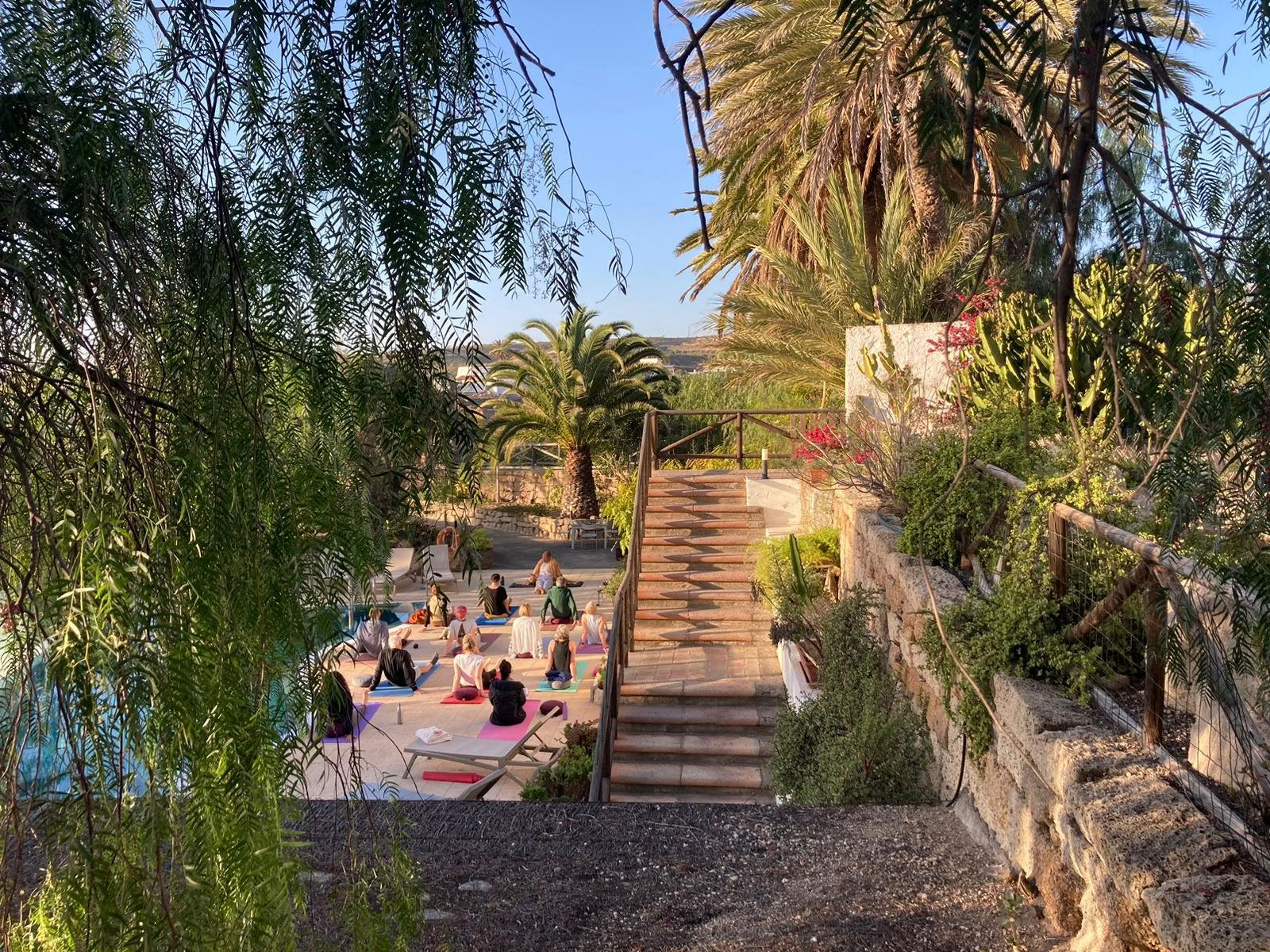 Retraite de 8 jours de pleine conscience et de yoga à Tenerife