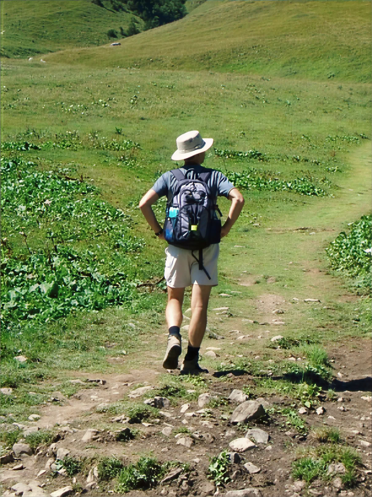 Retraite de marche pour le bien-être