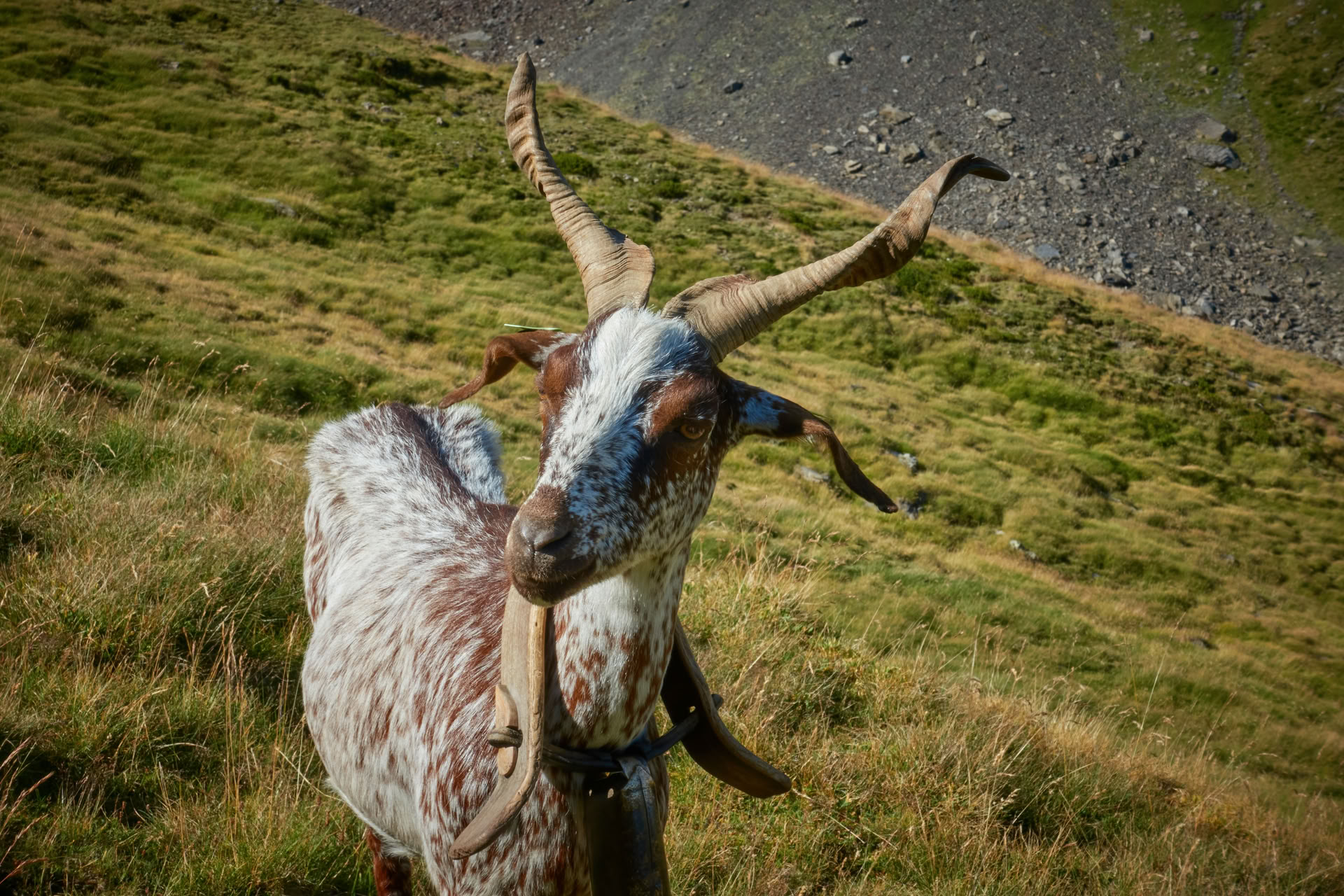 À ma façon