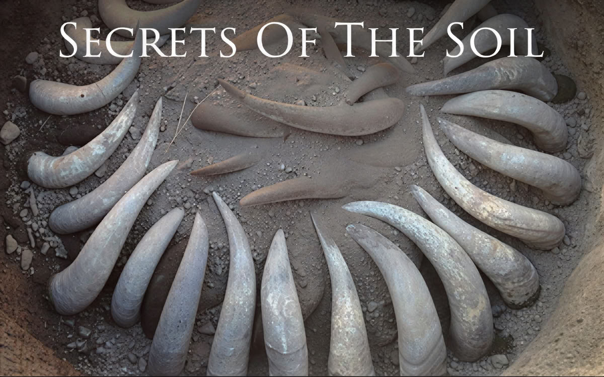 Secrets du sol