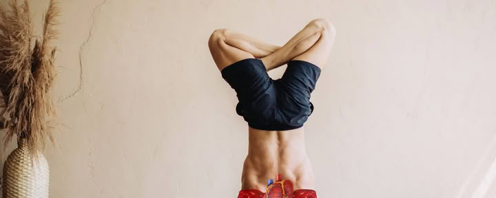 Yoga thérapie pour la santé respiratoire (Cardio-Breath Fusion)