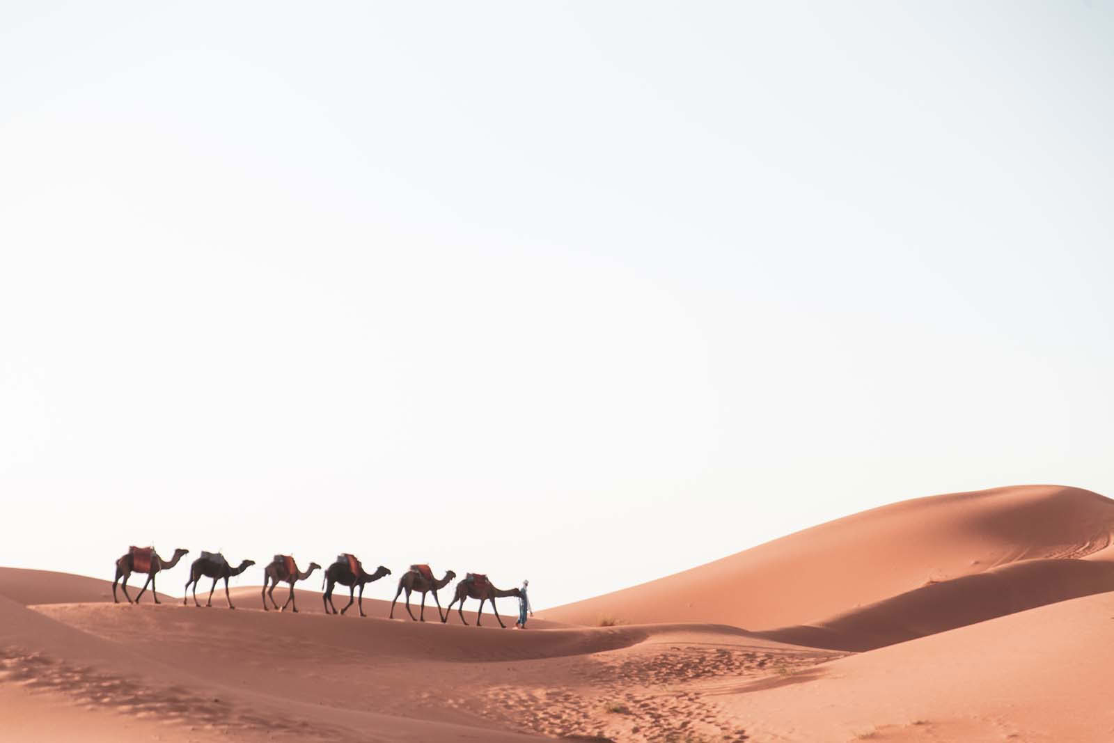 6 jours depuis Marrakech, circuit authentique dans le désert