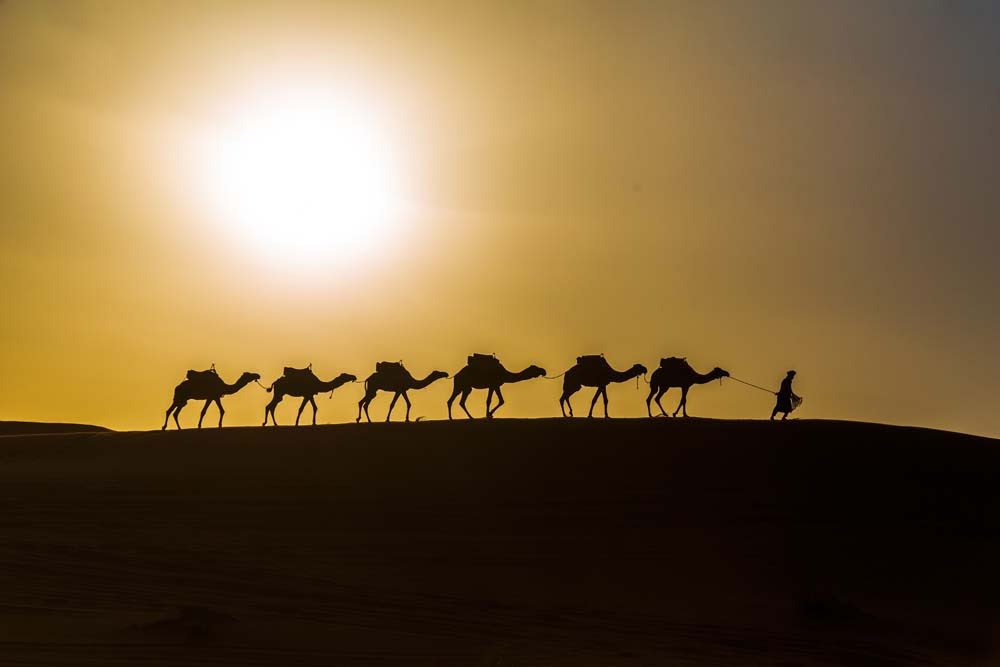5 jours de voyage de Casablanca à Fès via le désert