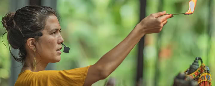 100HR Vaidika Dharma