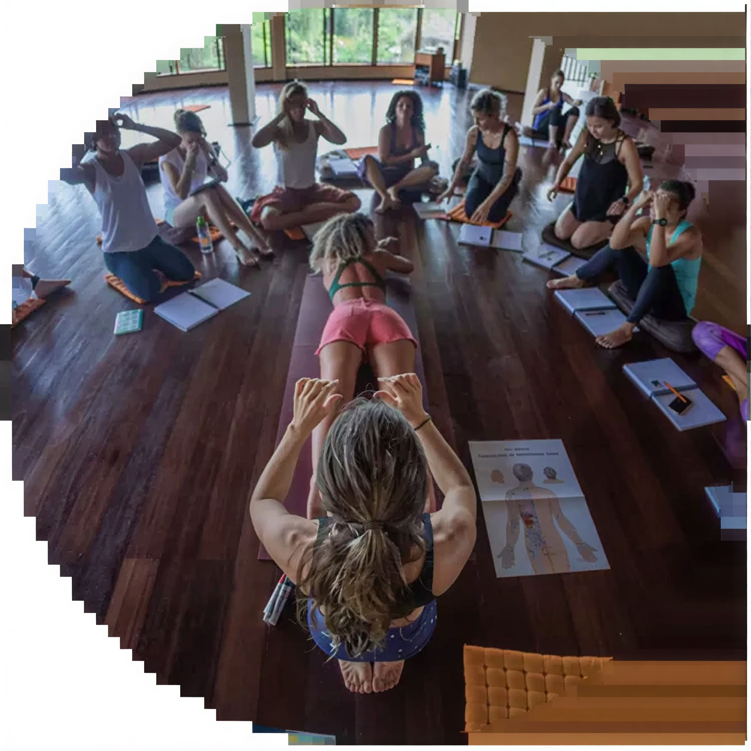 Formation de professeur de yoga de 50 h