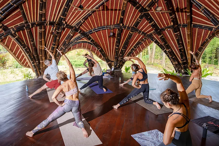 Vaidika Dharma : Formation de professeur de yoga SPIRIT de 100 heures