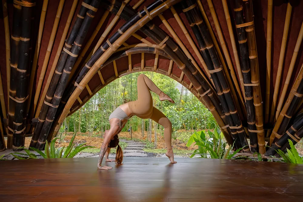 Vaidika Dharma : Formation de professeur de yoga SPIRIT de 100 heures