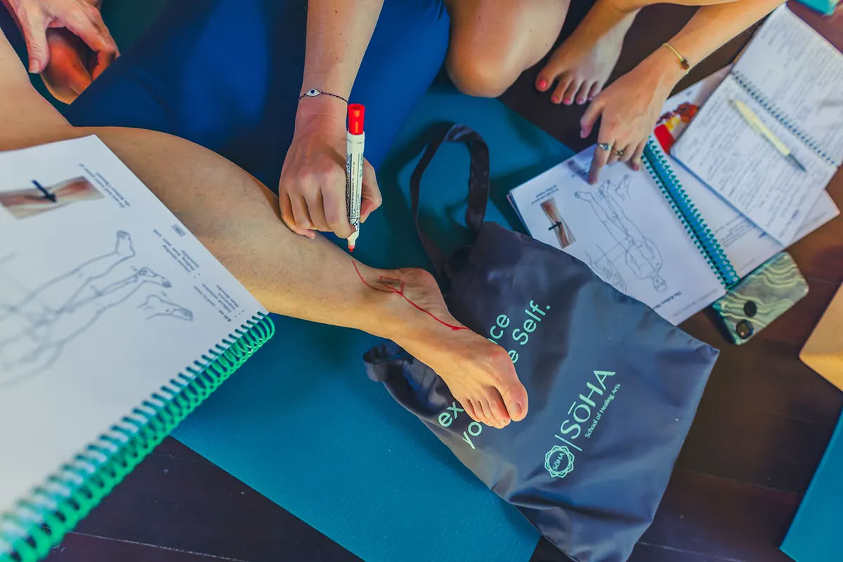 100HR Module en présentiel - Bali