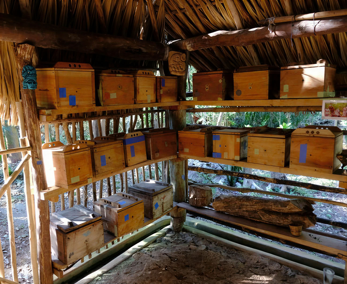 Rencontre avec un guérisseur maya à Coba