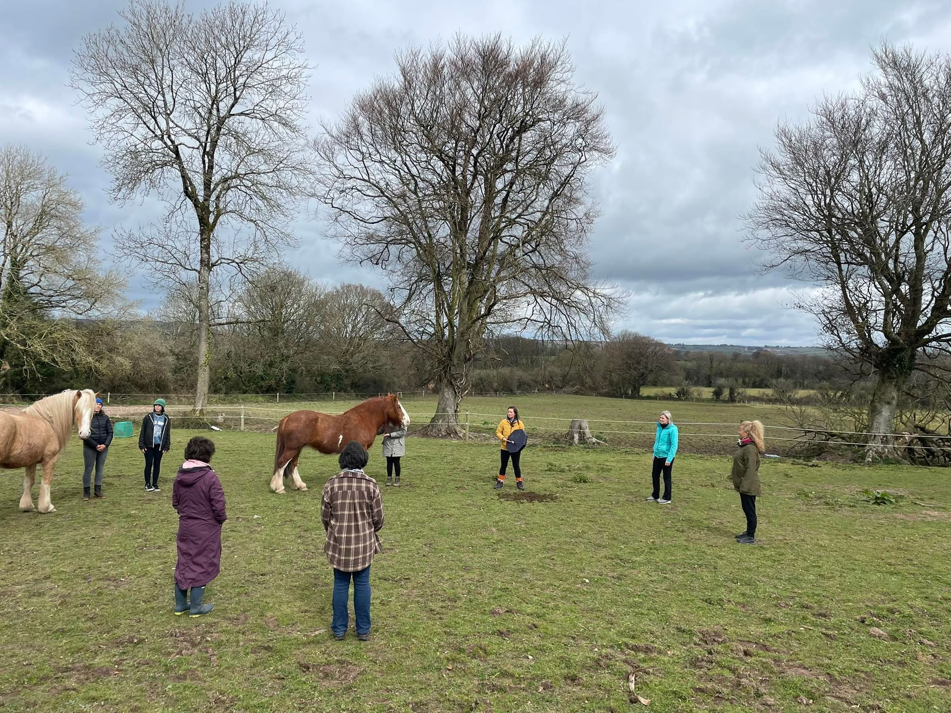Retraite d'amour de soi avec les chevaux