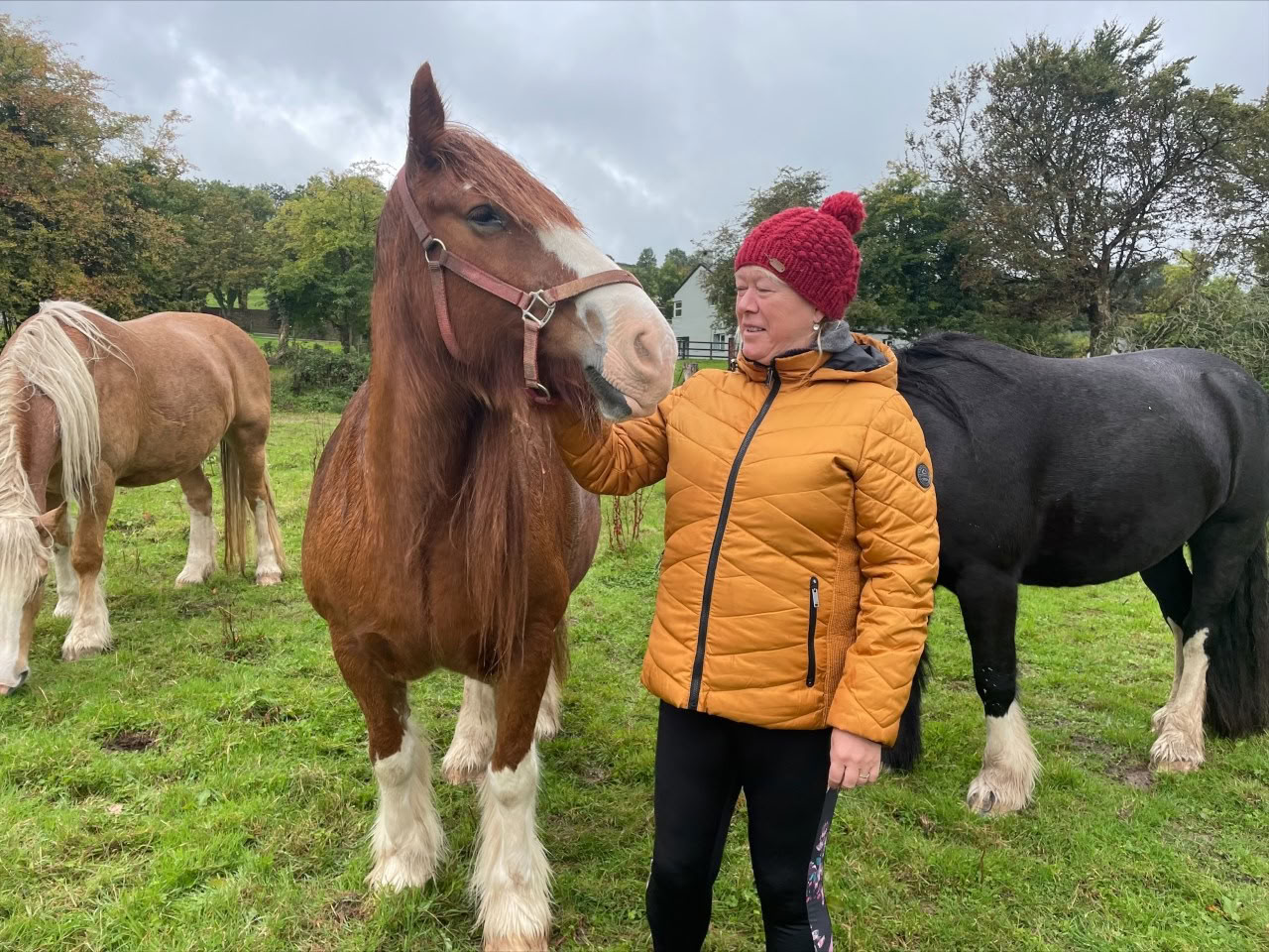 Retraite d'amour de soi avec les chevaux