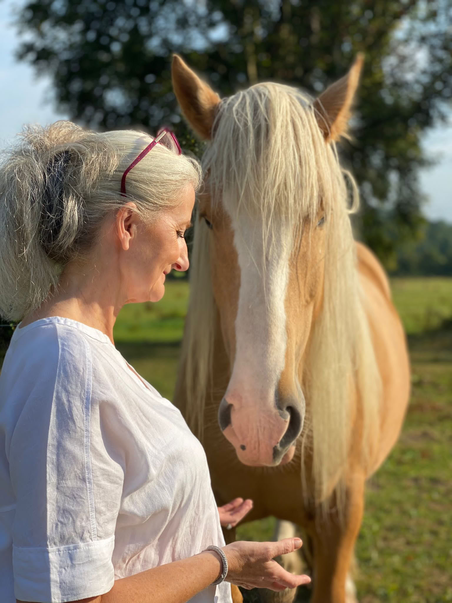 Retraite d'amour de soi avec les chevaux