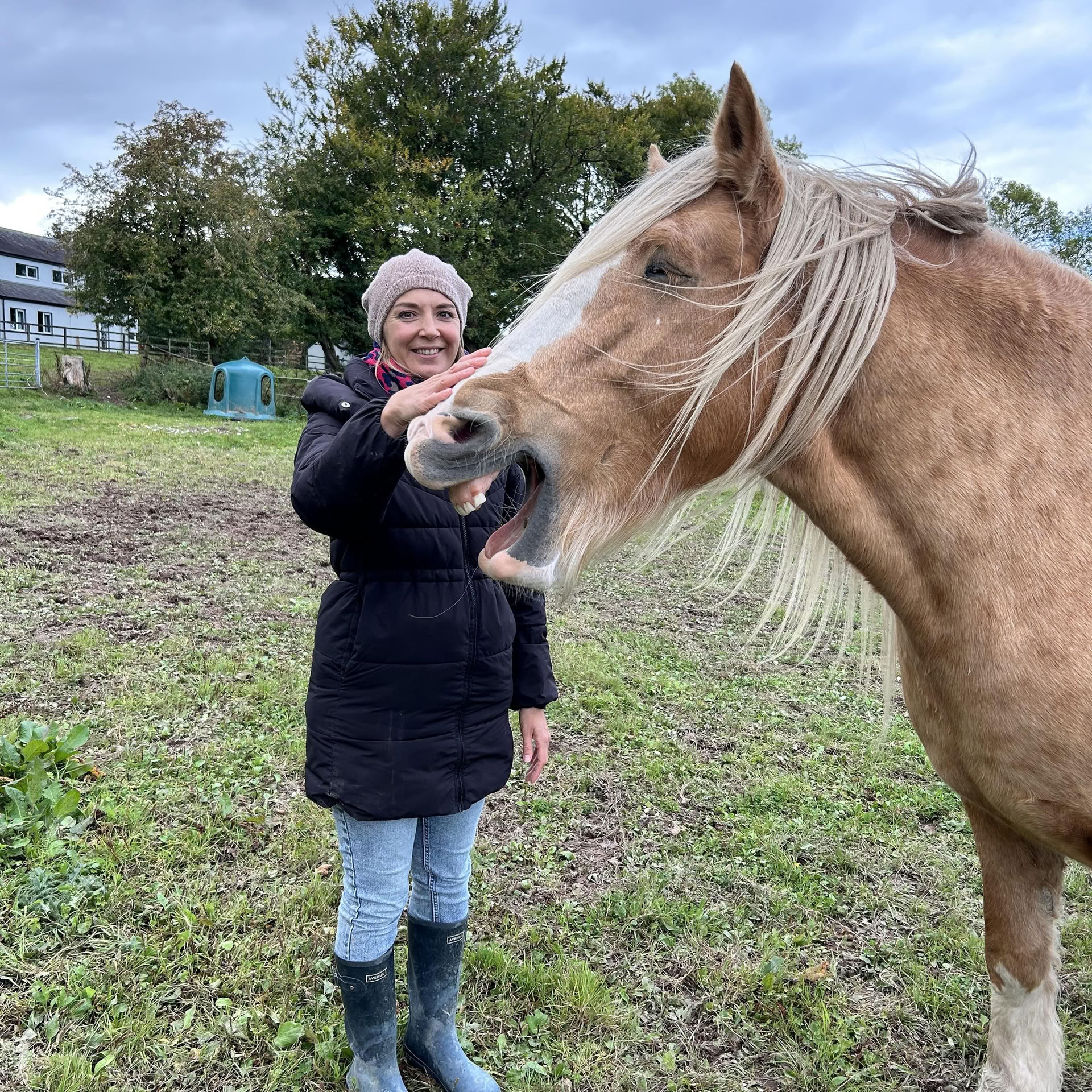 Entrer dans le partenariat avec les chevaux