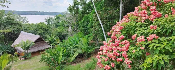 5 jours retraite ayahuasca et san pedro