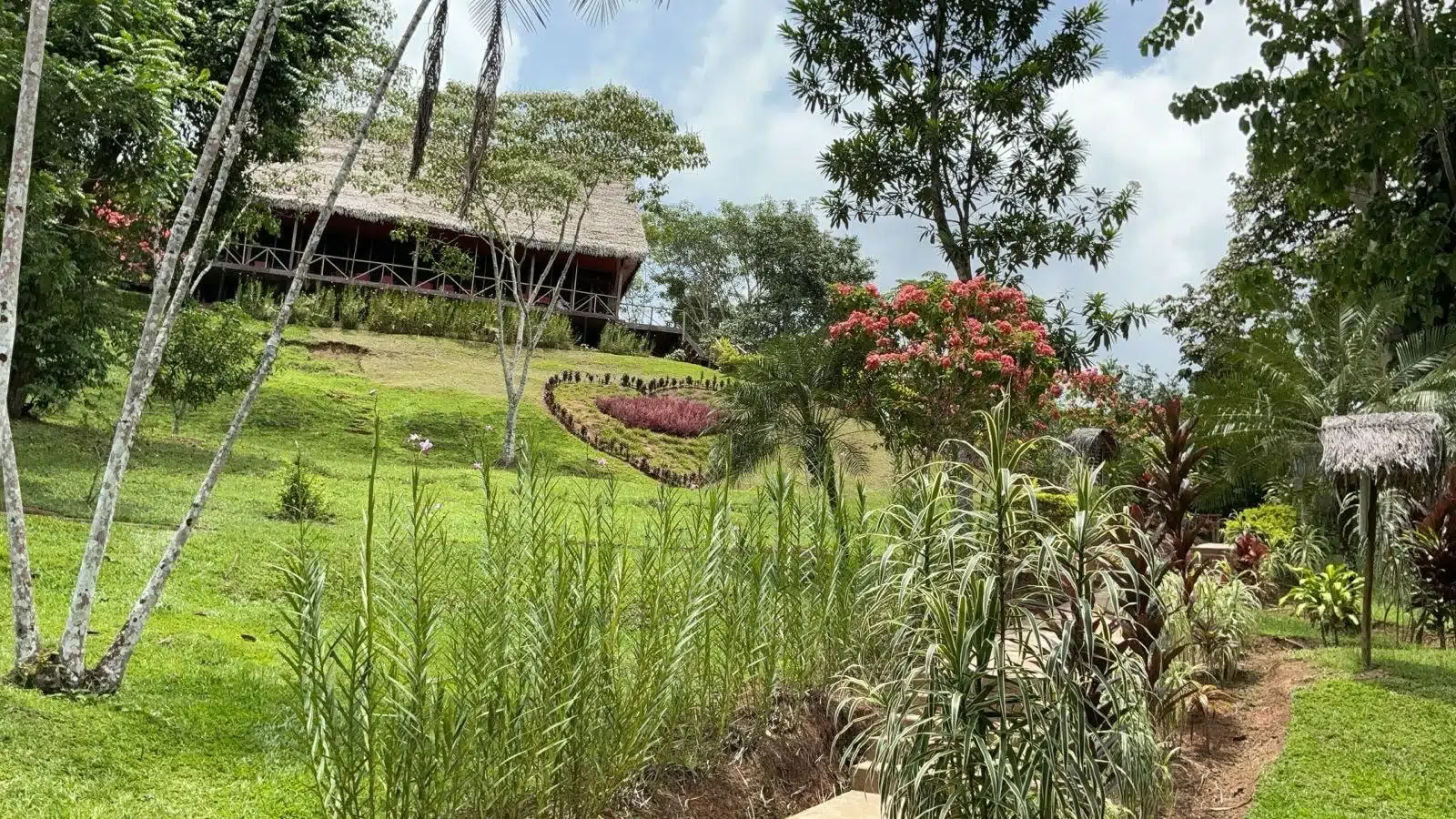 Cérémonie d’Ayahuasca