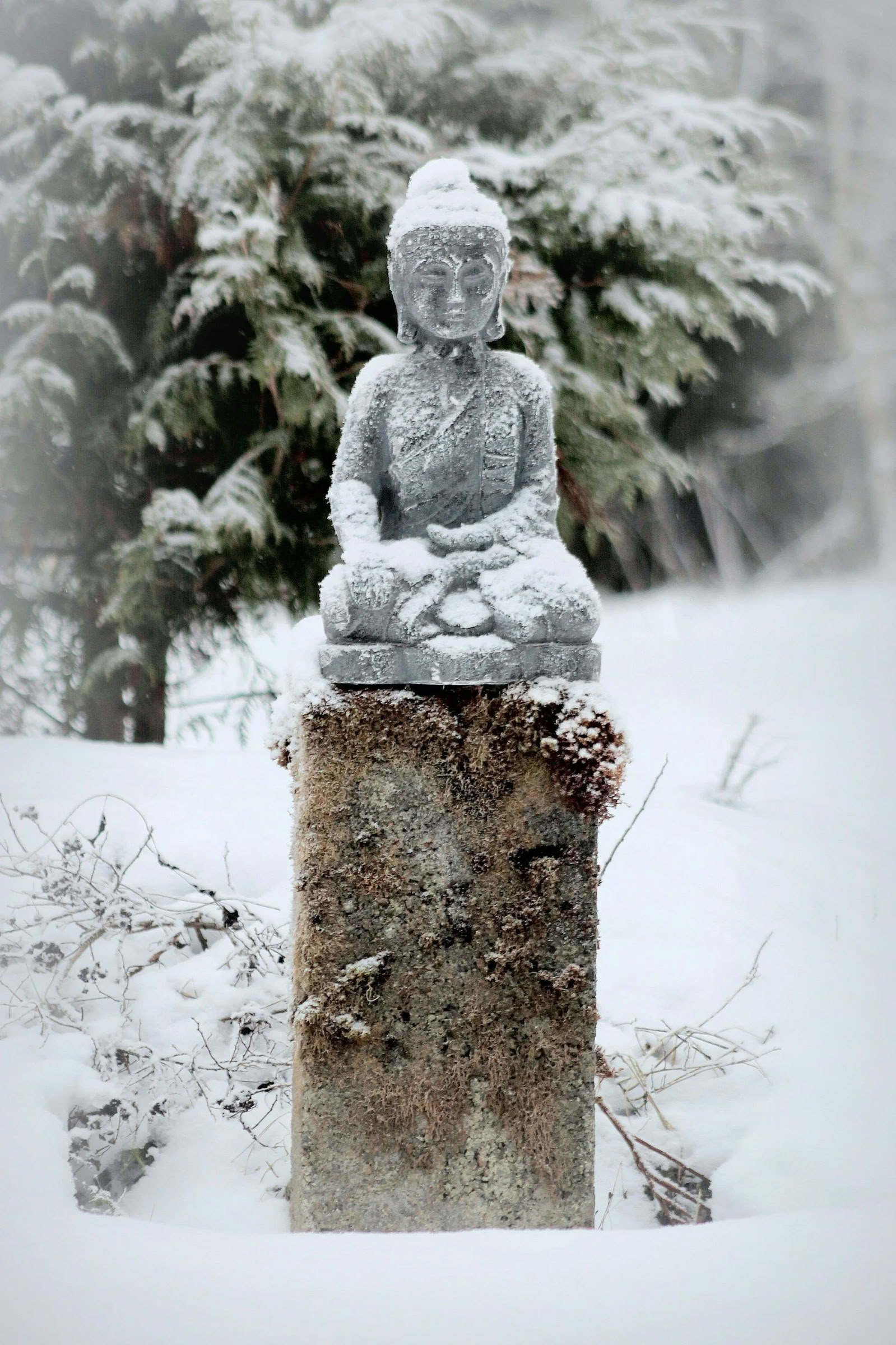 Formation aux fondements de l’Ayurveda de 220 heures